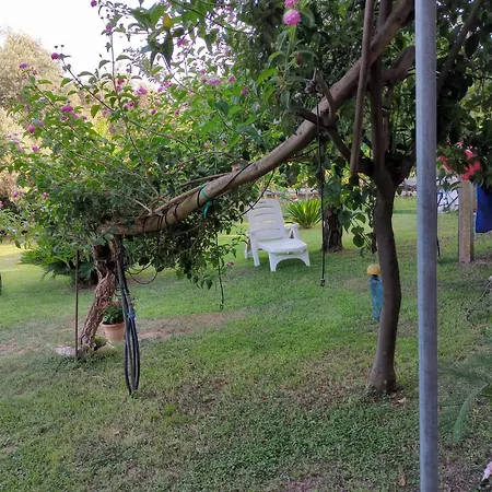 Casa Domus *
